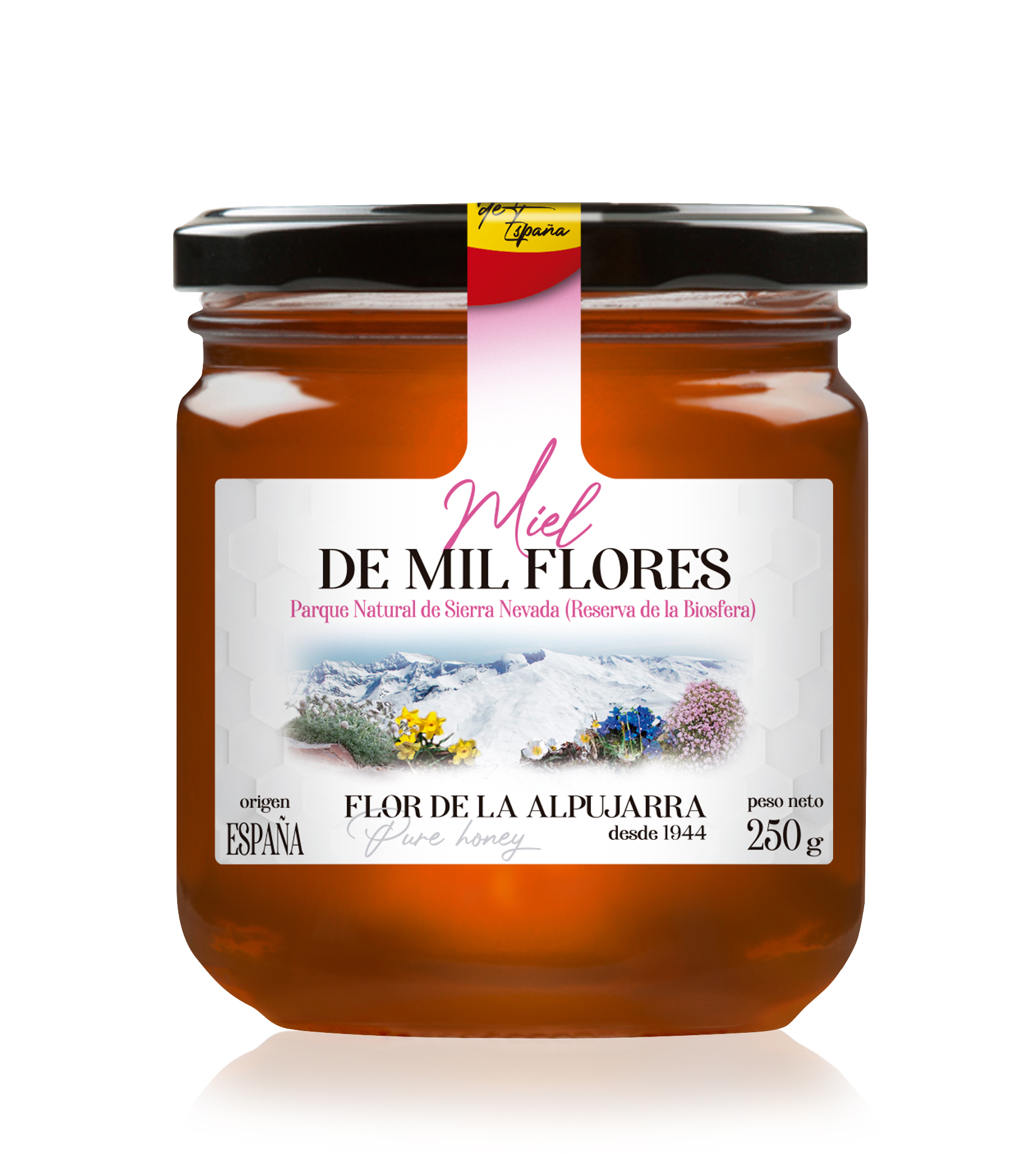 Miel Cruda de Mil Flores