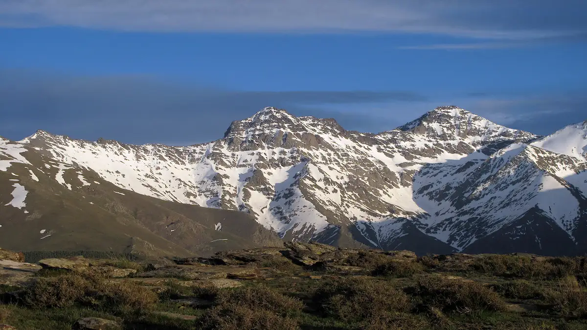 Miel pura y cruda de Sierra Nevada